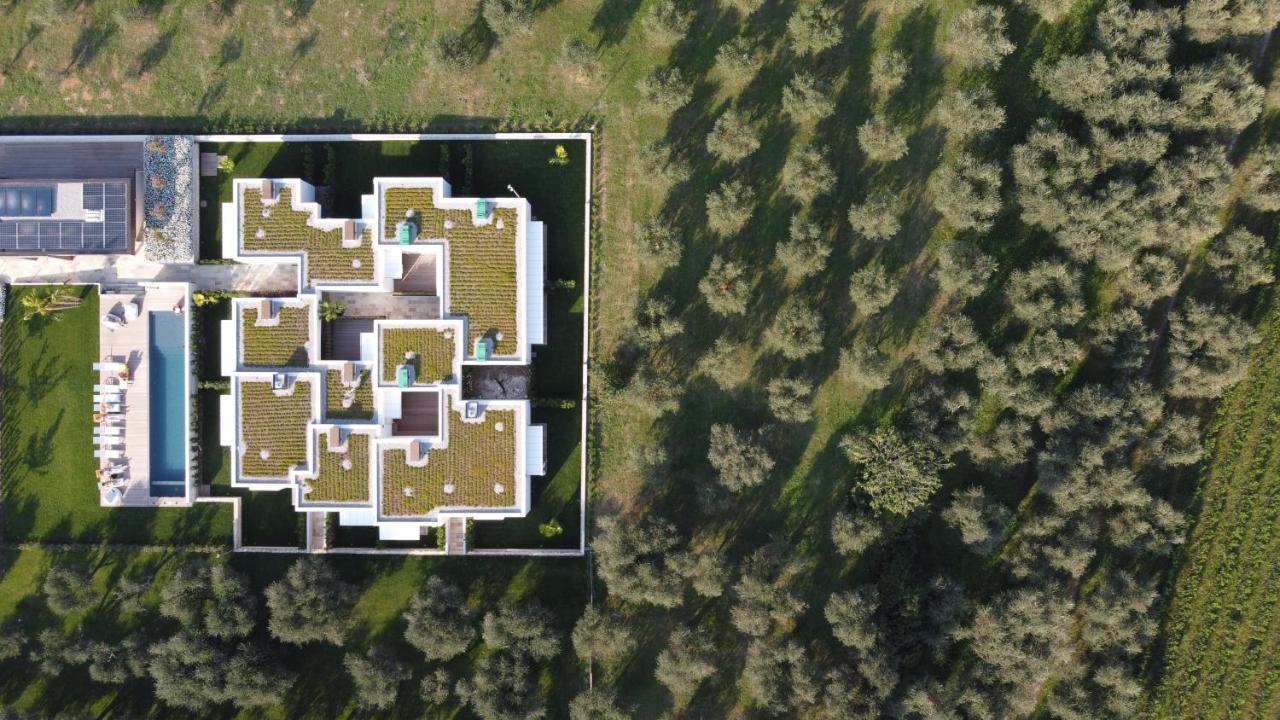 Bed & Breakfast Oleeva Garda Living - Adults Only *